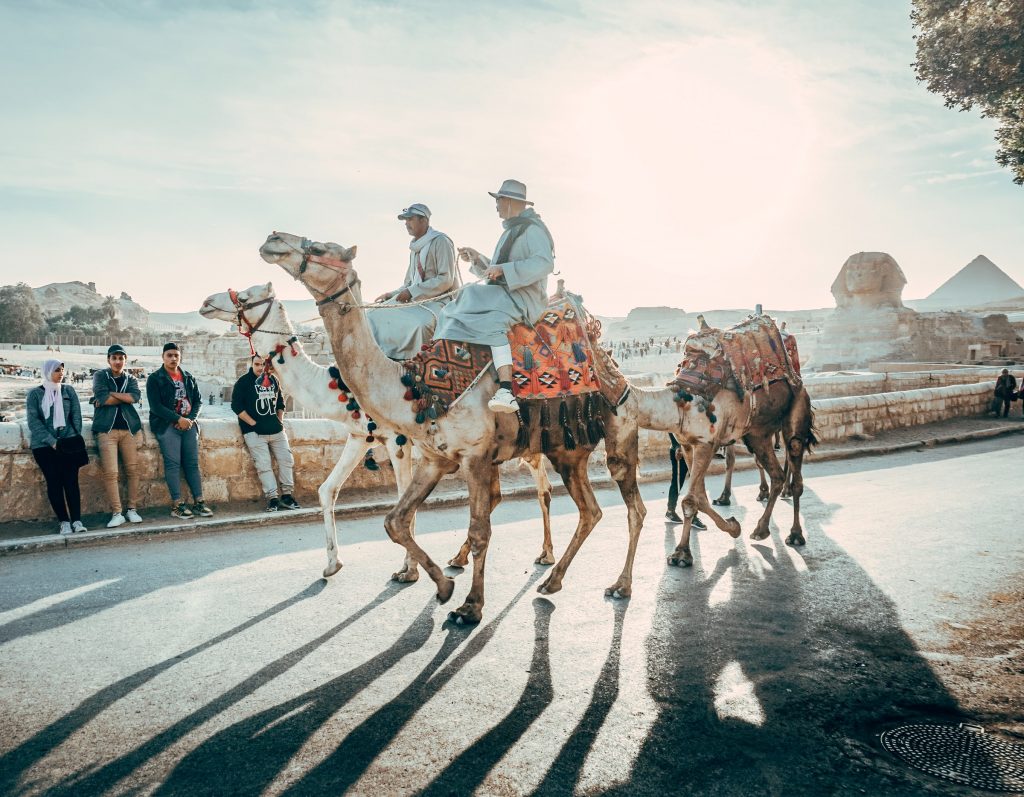 Travel in Egypt to see the pyramids with camels