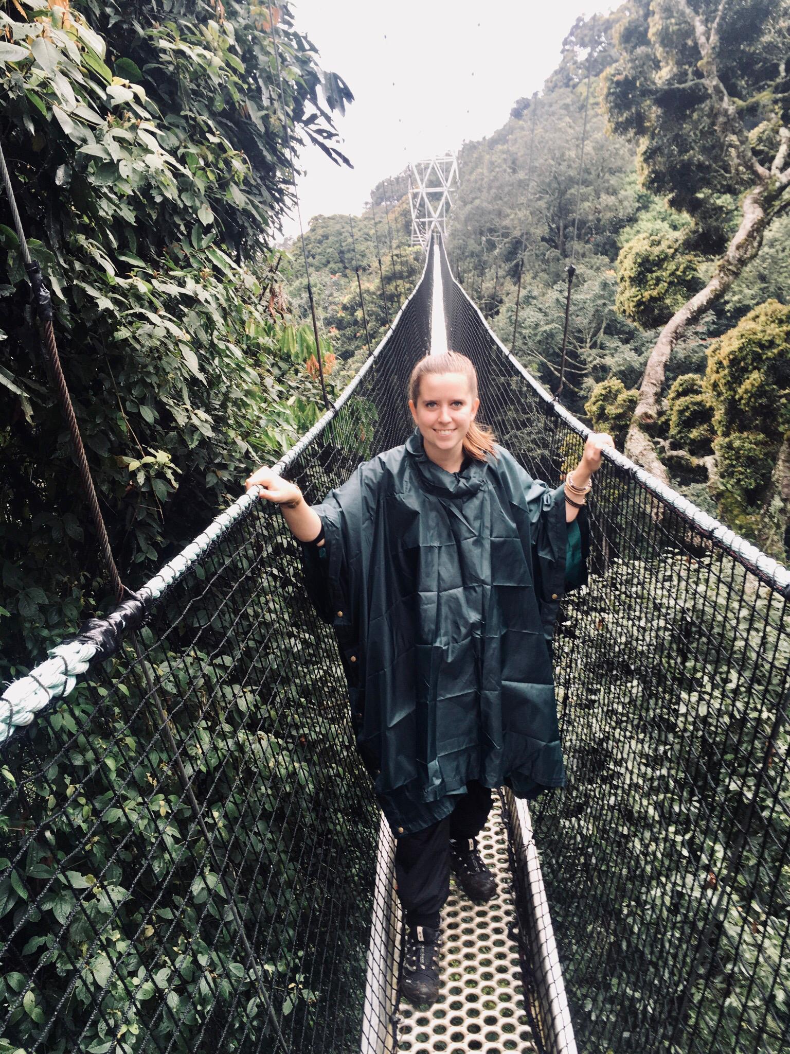 Megan Fischer Rwanda Canopy Walk