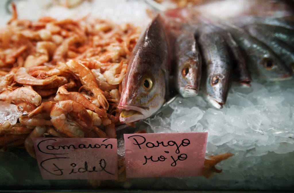 Enjoy fresh seafood directly from the market in Costa Rica