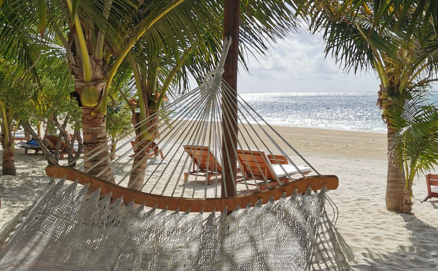 Relax in a hammock under palm trees and look at the white beach and the crystal clear sea of Mexico
