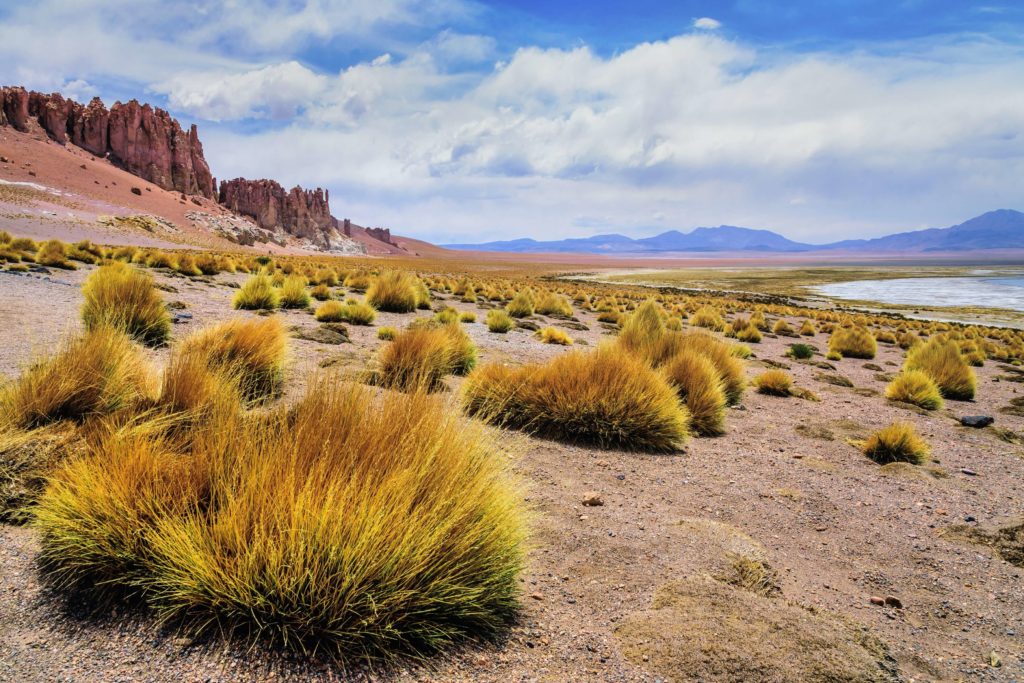 Enjoy beautiful landscpaes in the Atacama Desert in Chile