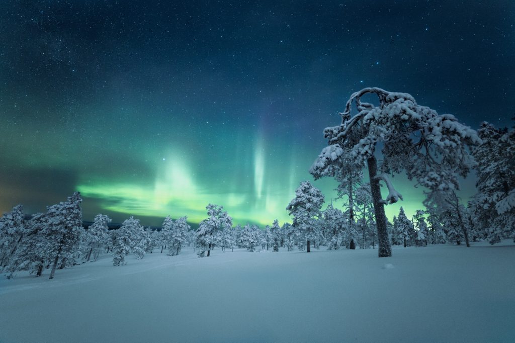 Marvel at the natural phenomenon of the Northern Lights in Finland