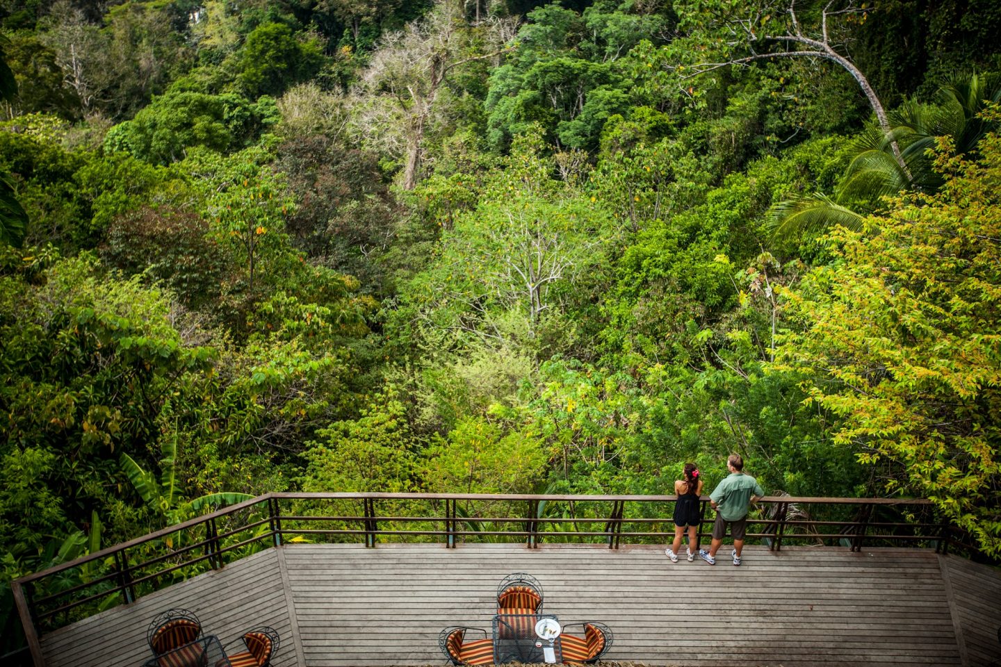Lapa Rios deck view surrounded by rain forest