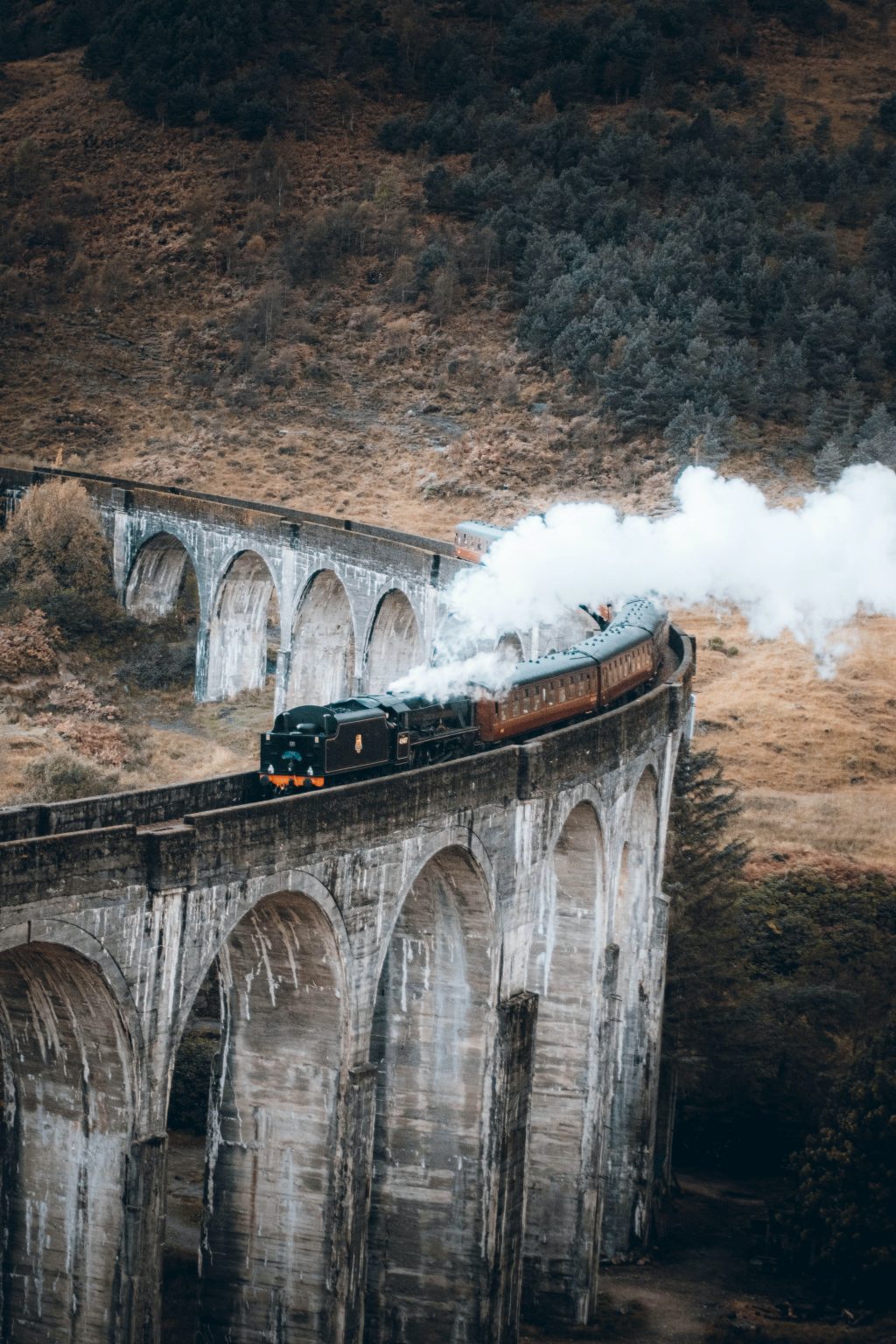 Tain passing on a railway bridge