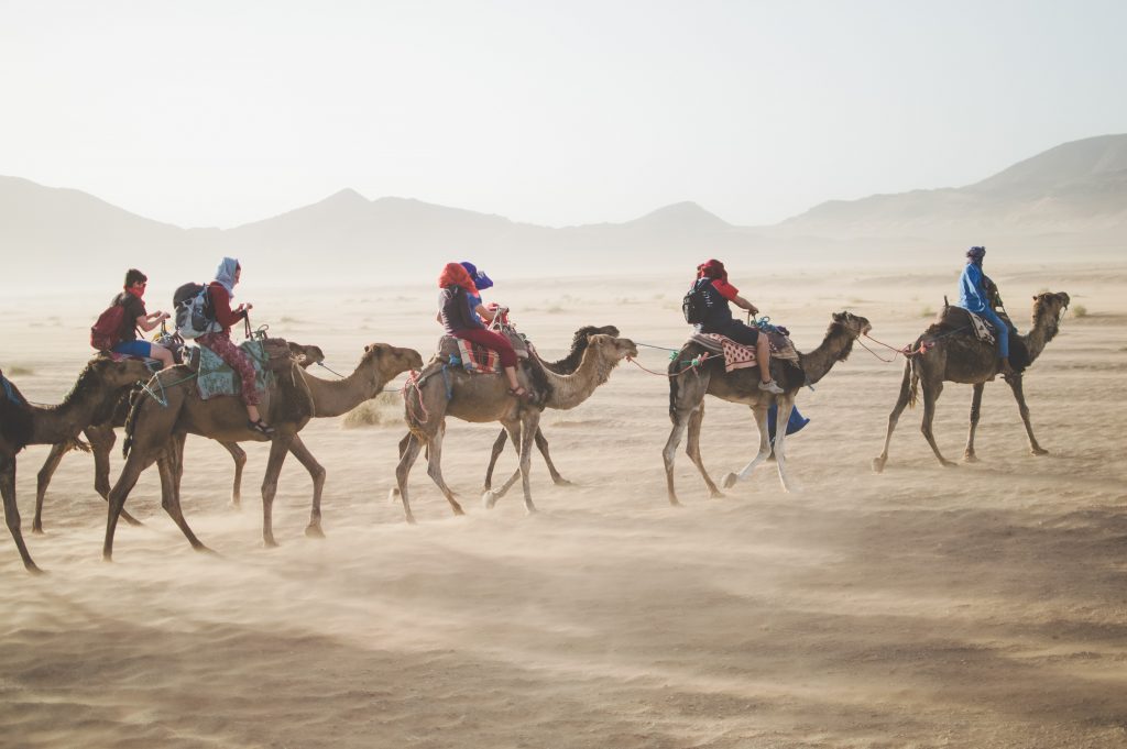 Group enjoying camel safari desert