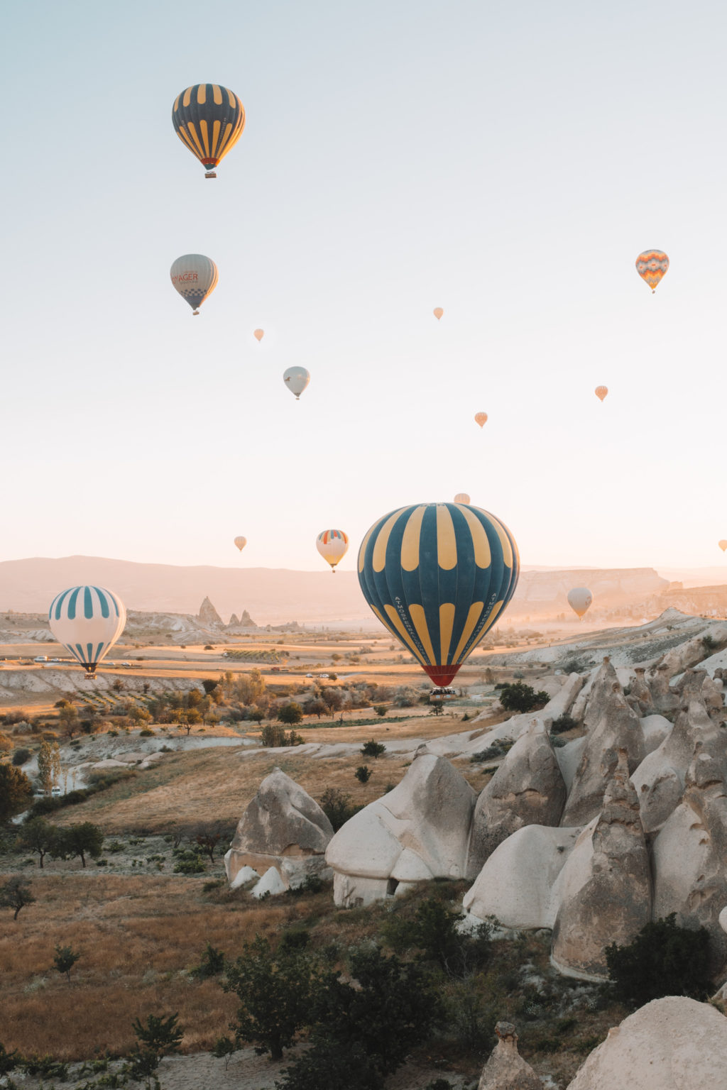 A Congress of hot-air balloons.