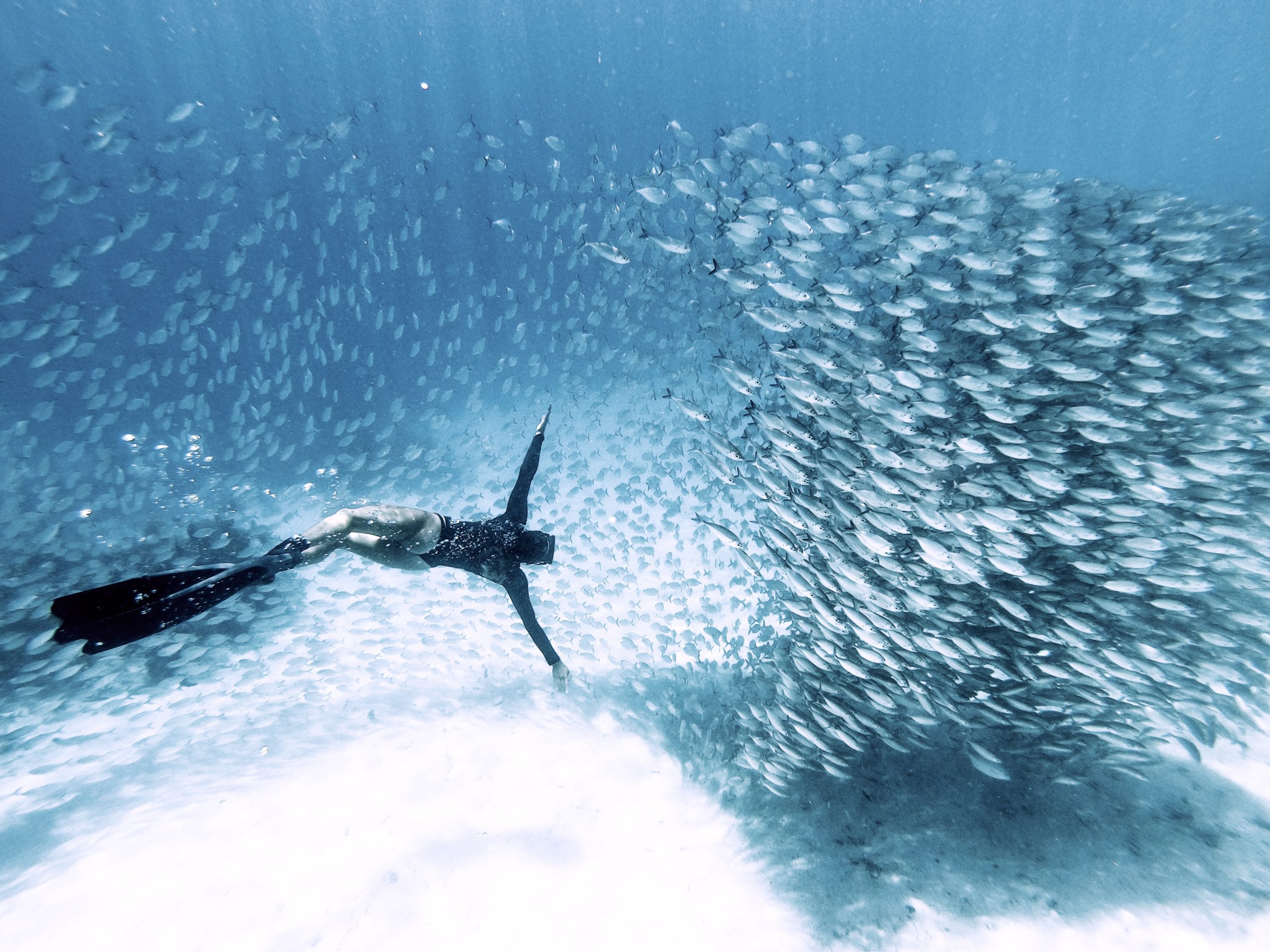 why-choose-cosa-scuba-diving