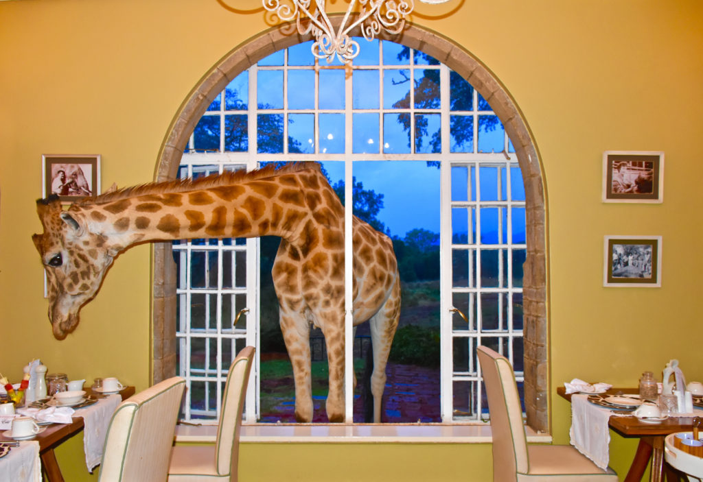 A stay at Giraffe Manor is an unforgettable African experience