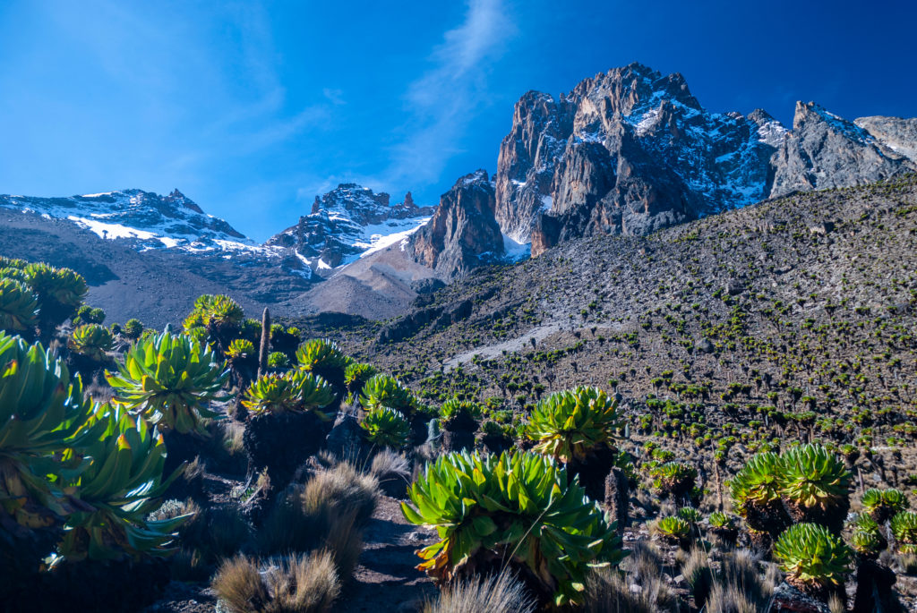 Mount Kenya isn't just a great mountain to see and climb