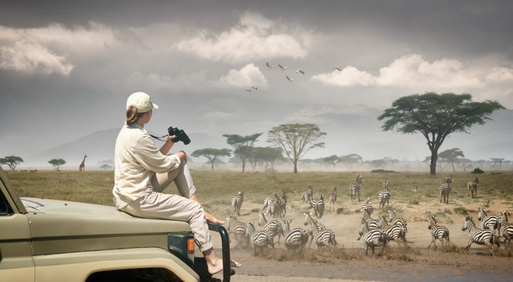 Your safari in Kenya is a blend of excitement and elegance