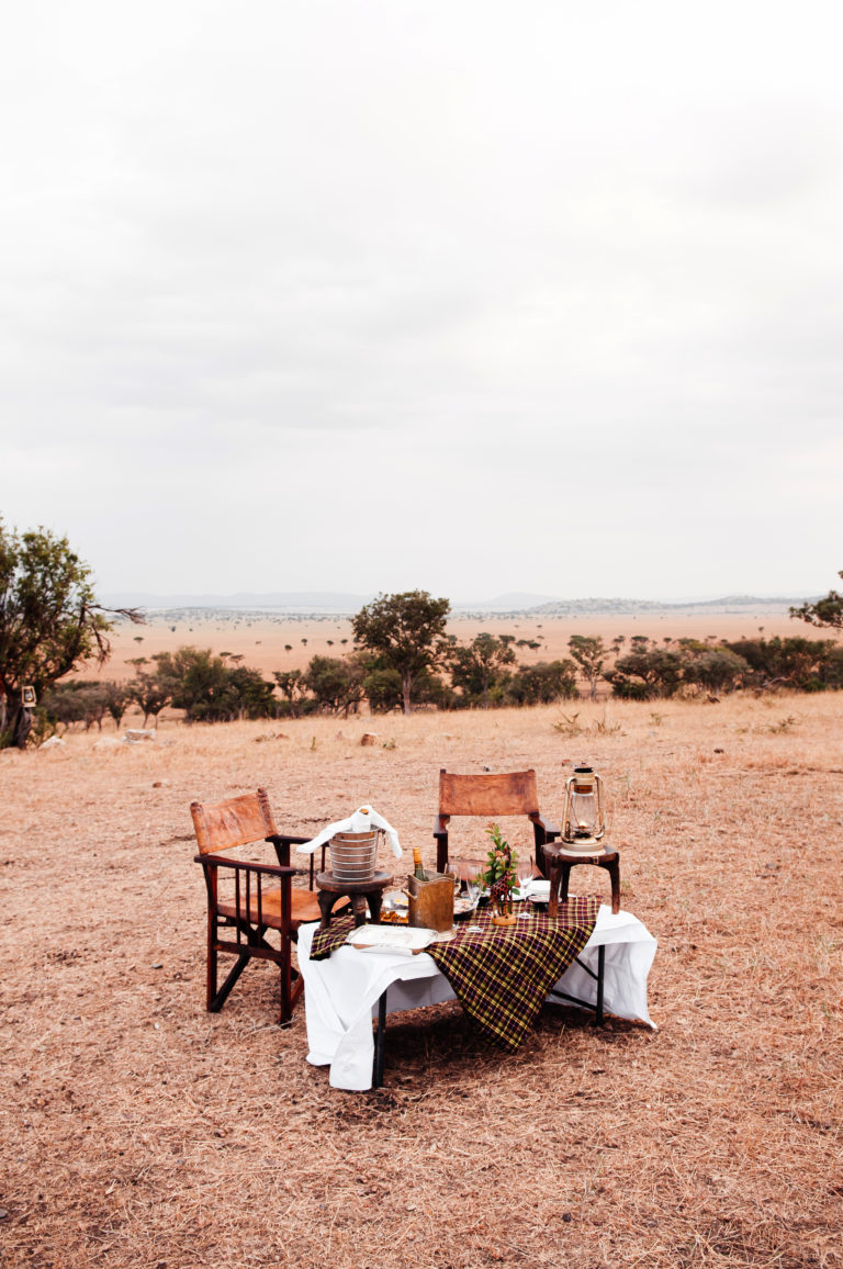 luxury outdoor picnic with wine bucket on table