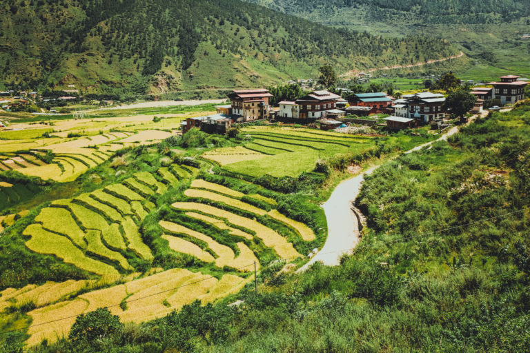 Panoramic view of valley and rice crops between the rivers in Bhutan