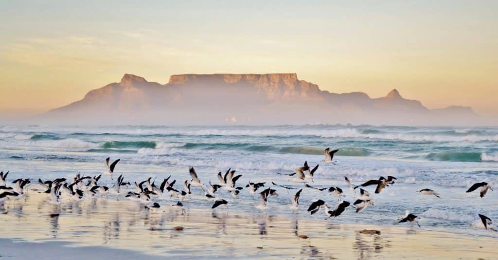 Enjoy a unique sunrise in Cape Town