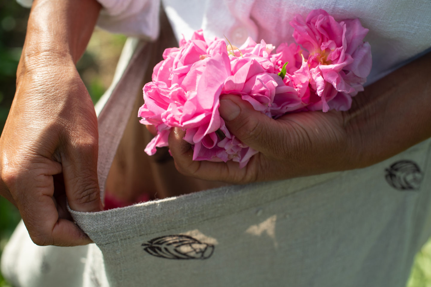 The art of celebrating flowers on the Côte d'Azur