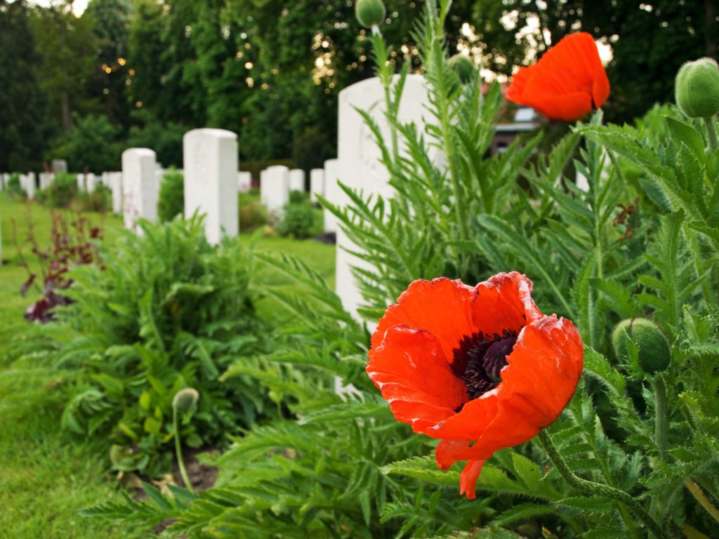 Ypres Reservoir Cemetery in West Flanders, Belgium with graves of World War I soldiers and poppies symbolizing Remembrance Day.