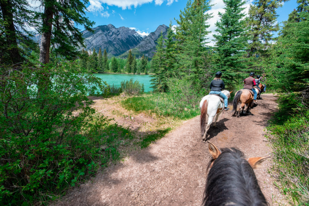 Embark on horseback to explore scenic backcountry trails with captivating nature and mountain views