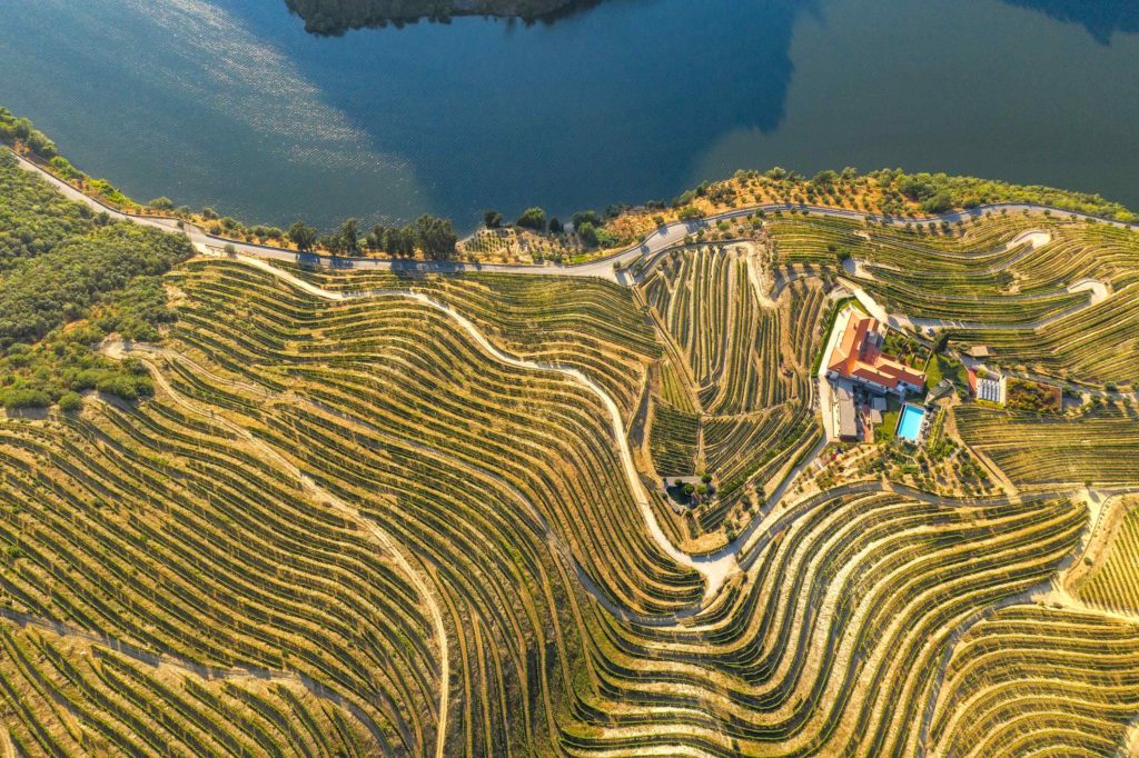 The Douro Valley is the only place where the grapes for the world-famous Port wine are grown.