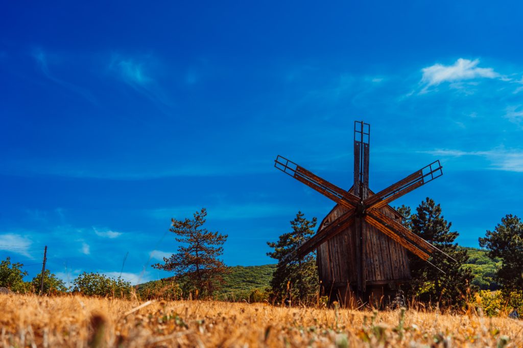 Romania has one of the highest biodiversity in all of Europe