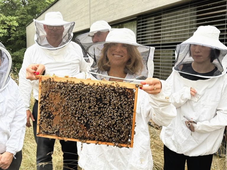 A woman holding a frame full of bees