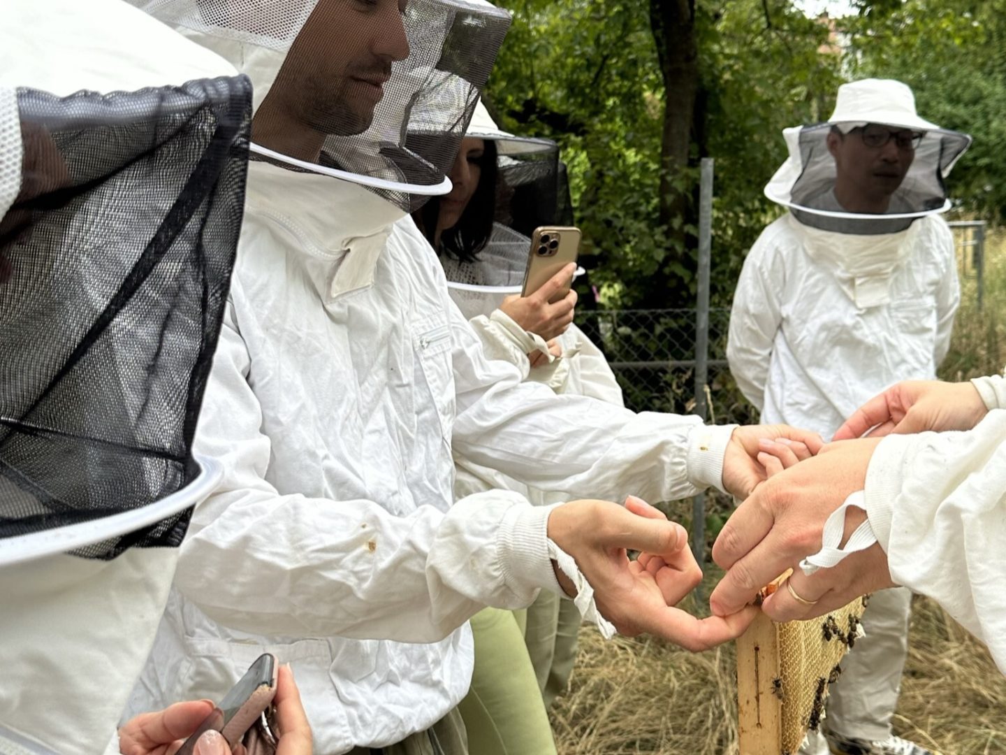 a group and one person is handed a frame full of bees