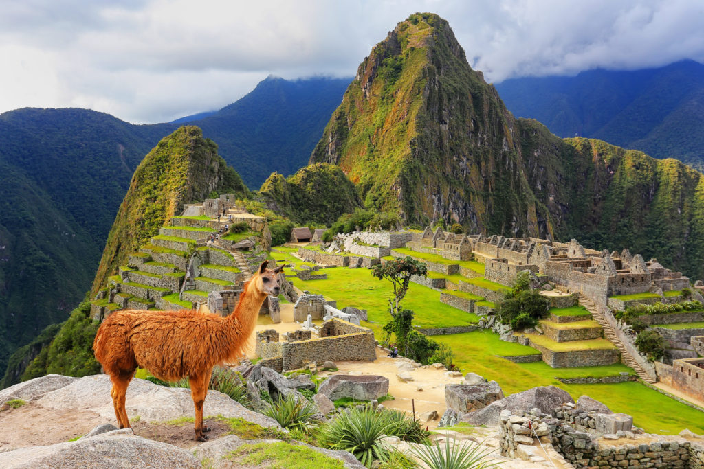 Alongside this adventure through time, a trip to Machu Picchu offers an opportunity to experience Peruvian culture and gastronomy
