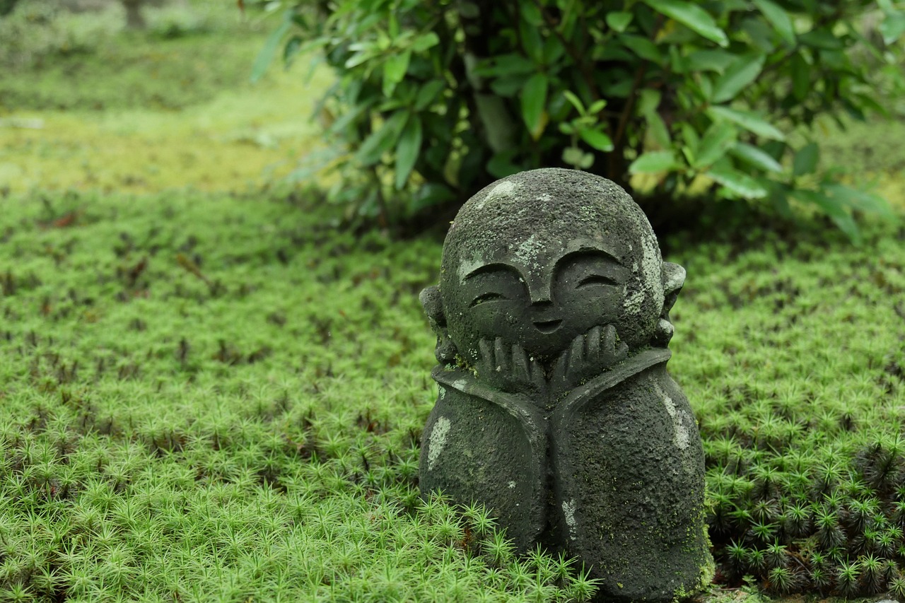 Visit one of the most attractive temples in Kyoto