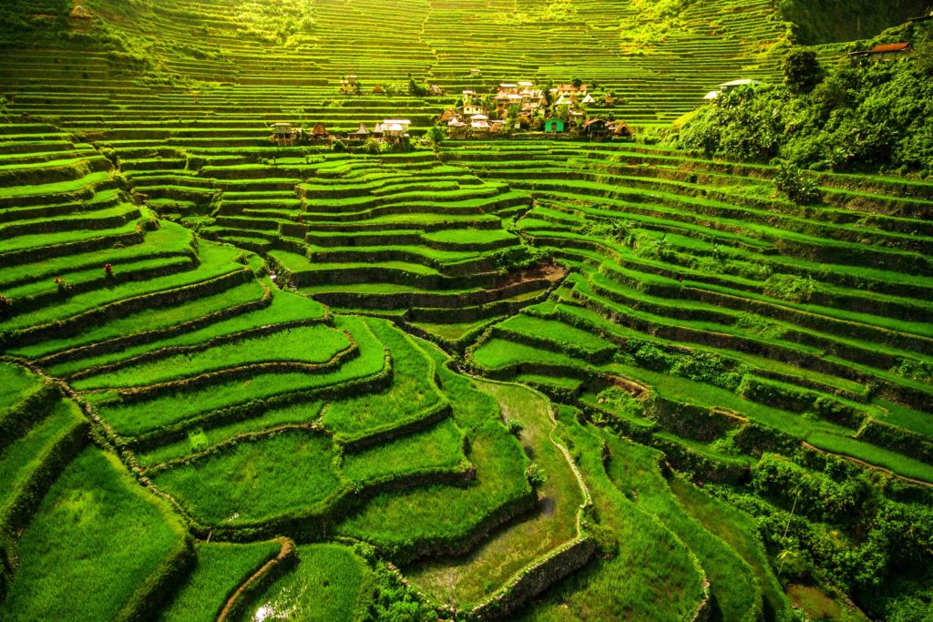 Ifugao rice terraces in Batad, northern Luzon, Philippines, a UNESCO World Heritage site known for their stunning beauty and impressive agricultural engineering.