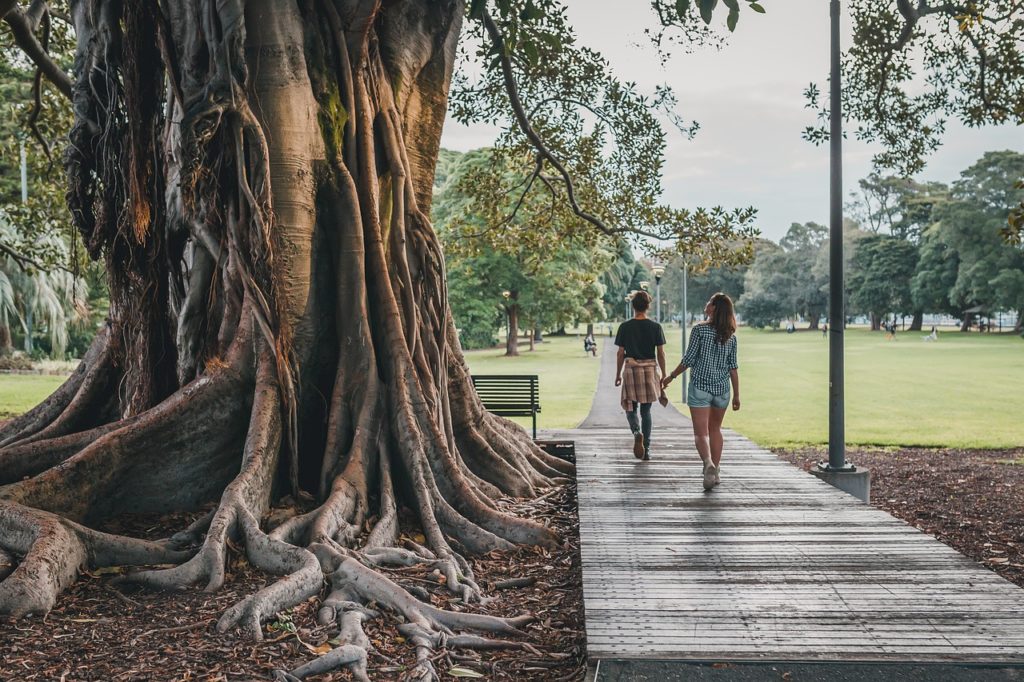 For a relaxing day in the city why not take a stroll around Sydney's Royal Botanic Gardens