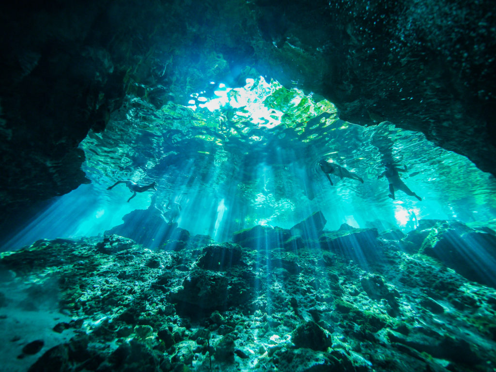 Let's make Cenote Diving the Highlight activity of your stay in Mexico