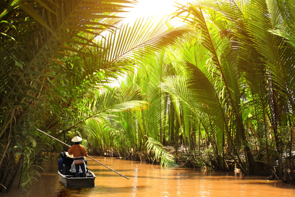 Experience this important river delta firsthand as you explore both jungle-shaded canals and wide waterways