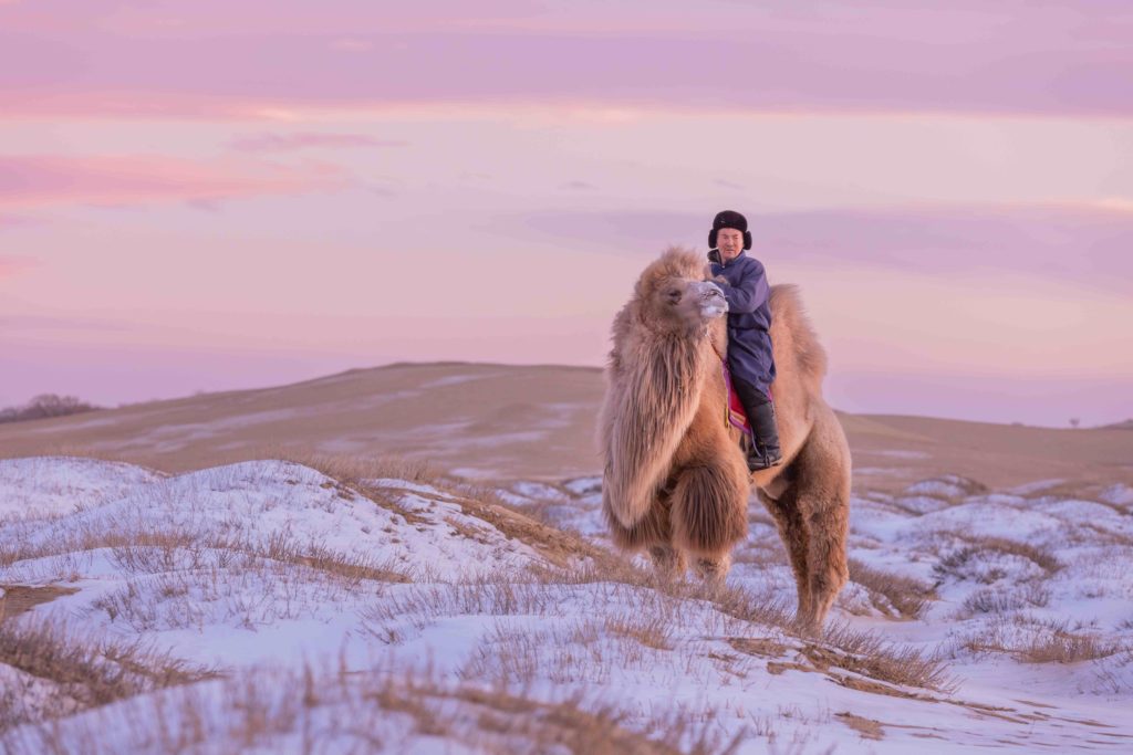 A person riding a camel in a snowy landscape during sunset.