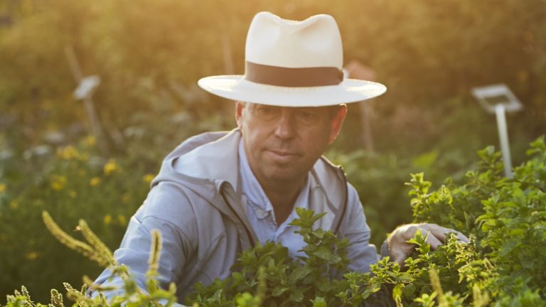 A person wearing a hat and working with plants, under a golden sky.