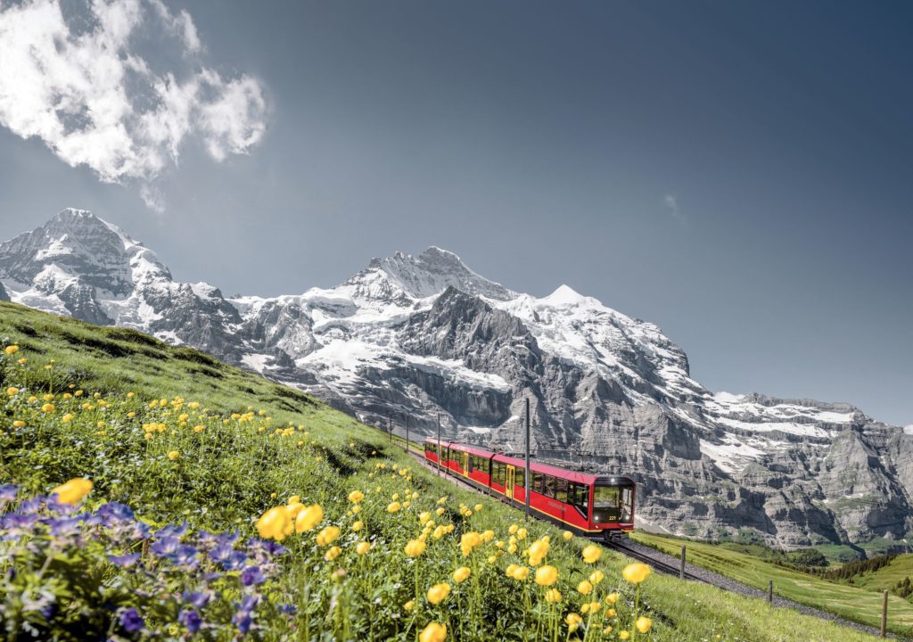 A red train travels beside a lush green meadow full of yellow and purple flowers, with snowy mountains in the background.