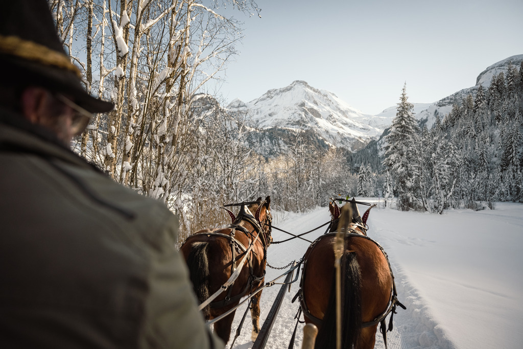 View of a person in a horse drawn carriage traveling on snow covered ground