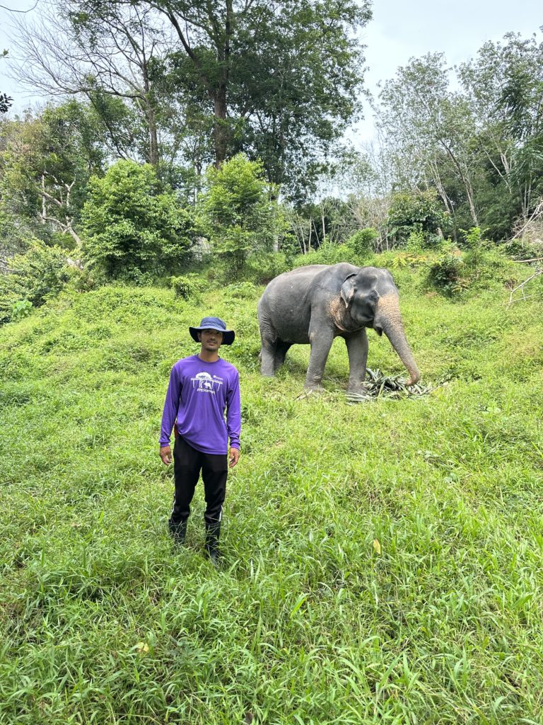 An elephant keeper stands near an elephant on Phuket.