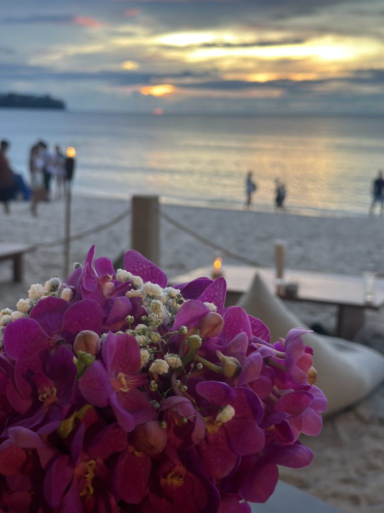 Orchids in the in front of the sunset on the beach in Phuket.