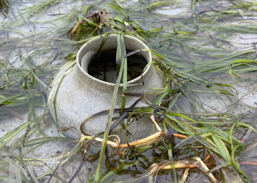 A weathered stone artifact partially submerged in a coastal waterway, surrounded by seaweed