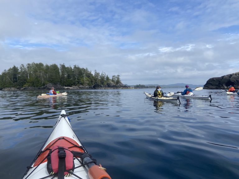 Kayakers exploring a remote coastal area, surrounded by lush greenery