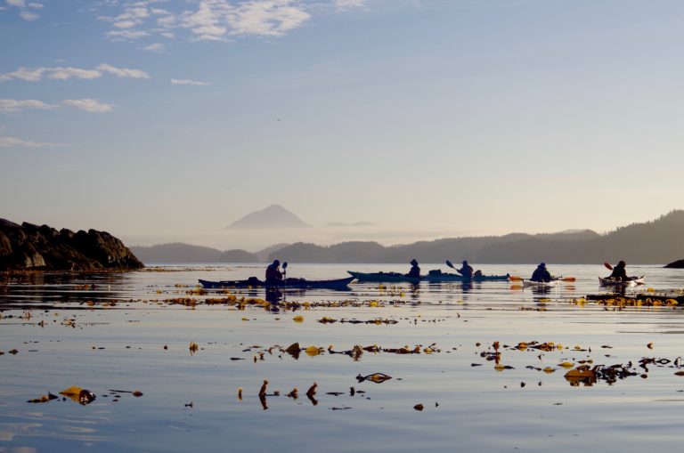 A group of people paddling kayaks on a serene lake, enjoying a day of outdoor adventure