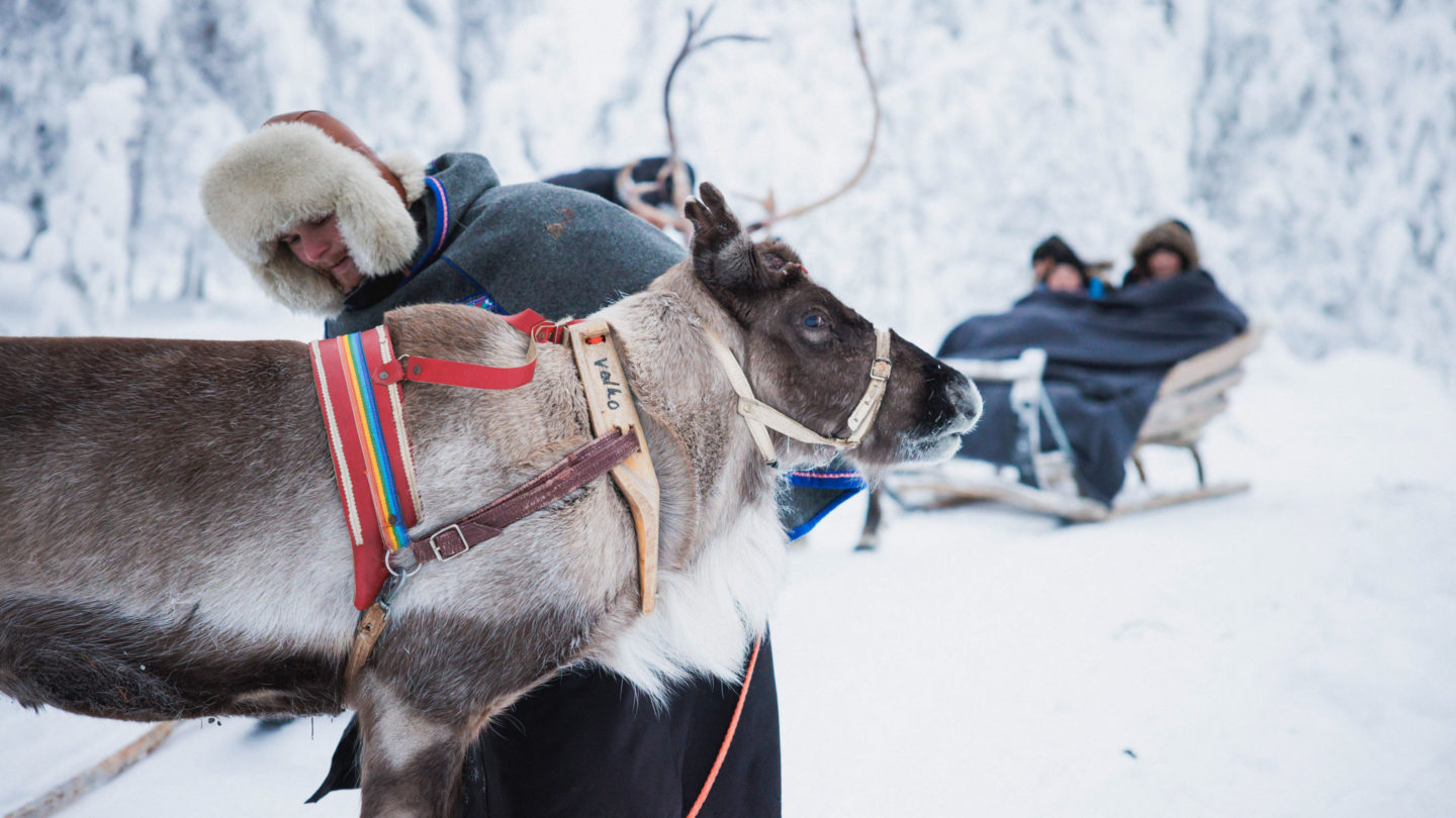 A scenic winter landscape with a reindeer-drawn sleigh getting ready for ride