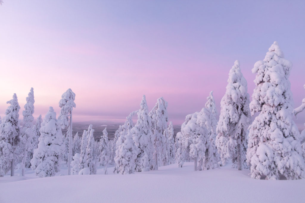 inspiration-finland-snow-covered-trees-winter-forest