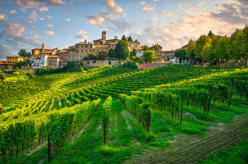 Picturesque view of a medieval village nestled amongst rolling vineyards