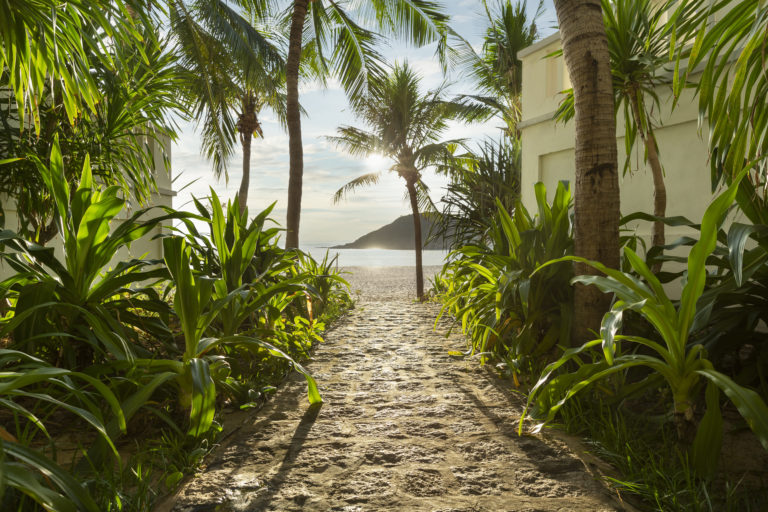 A scenic pathway lined with palm trees leading to the beach at Anantara Quy Nhon