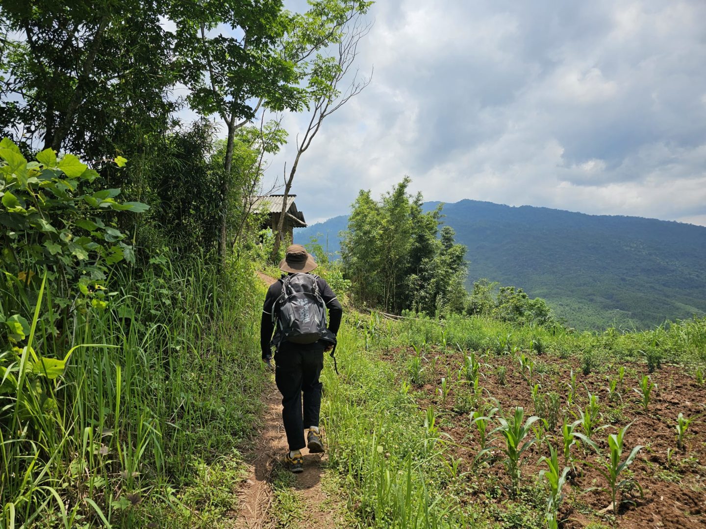 A solo backpacker hikes a trail lined with vibrant paddy fields