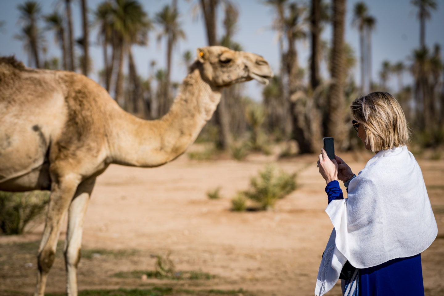 Woman capturing moment with camels in a desert landscape