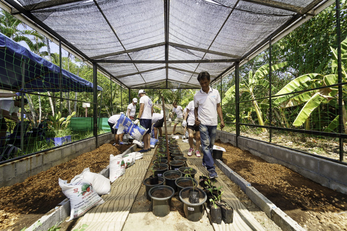 Created an Oasis during a CSR event in Phuket