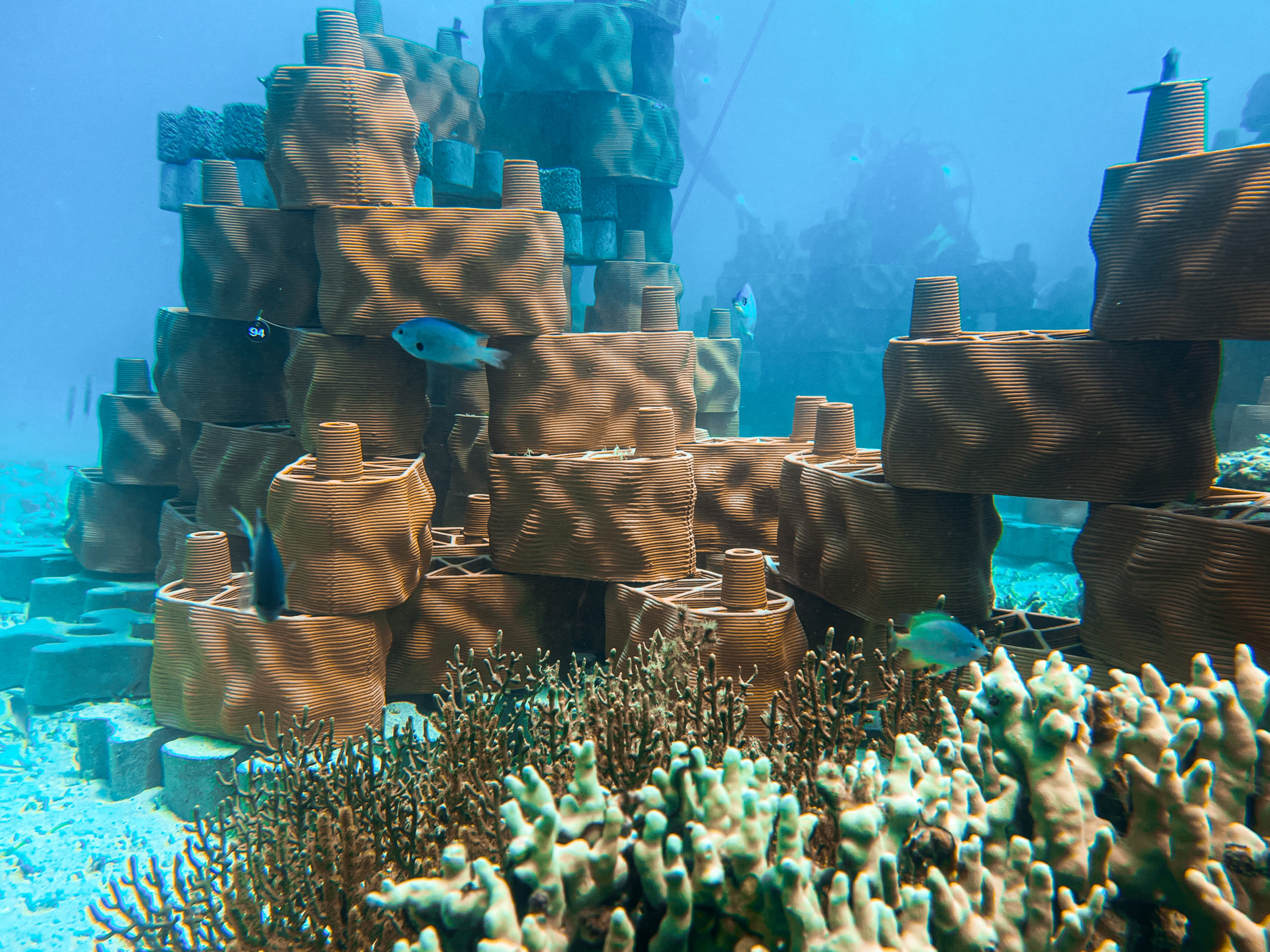 journeys-with-depth-rrreefs-blocks