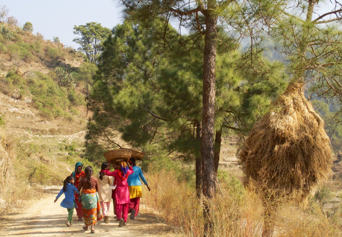 Daily life path in Kumaon, women walking on a trail through a hilly, forested landscape