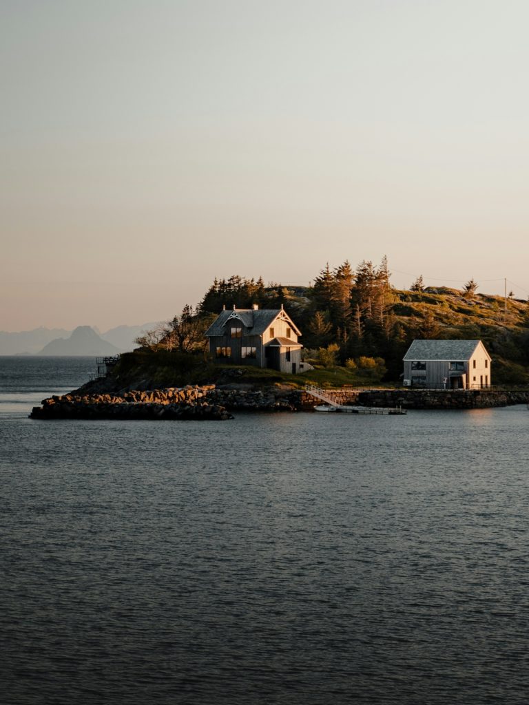 Traditional houses and pine trees, located in the Lofoten archipelago