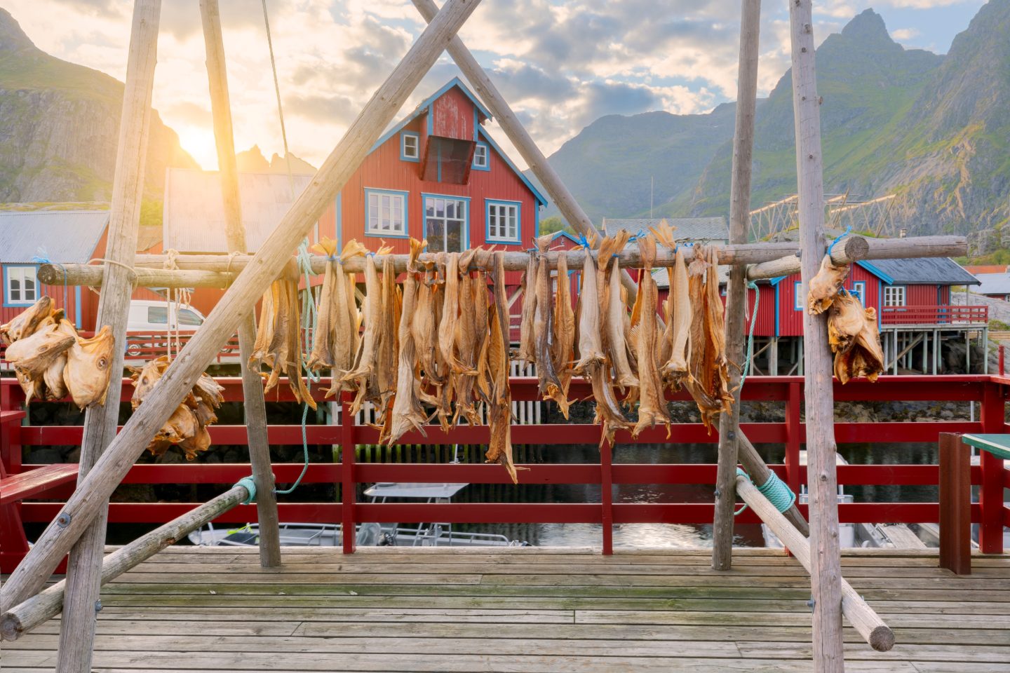 Norwegian fishing village, where fish are being sun-dried on traditional wooden structures